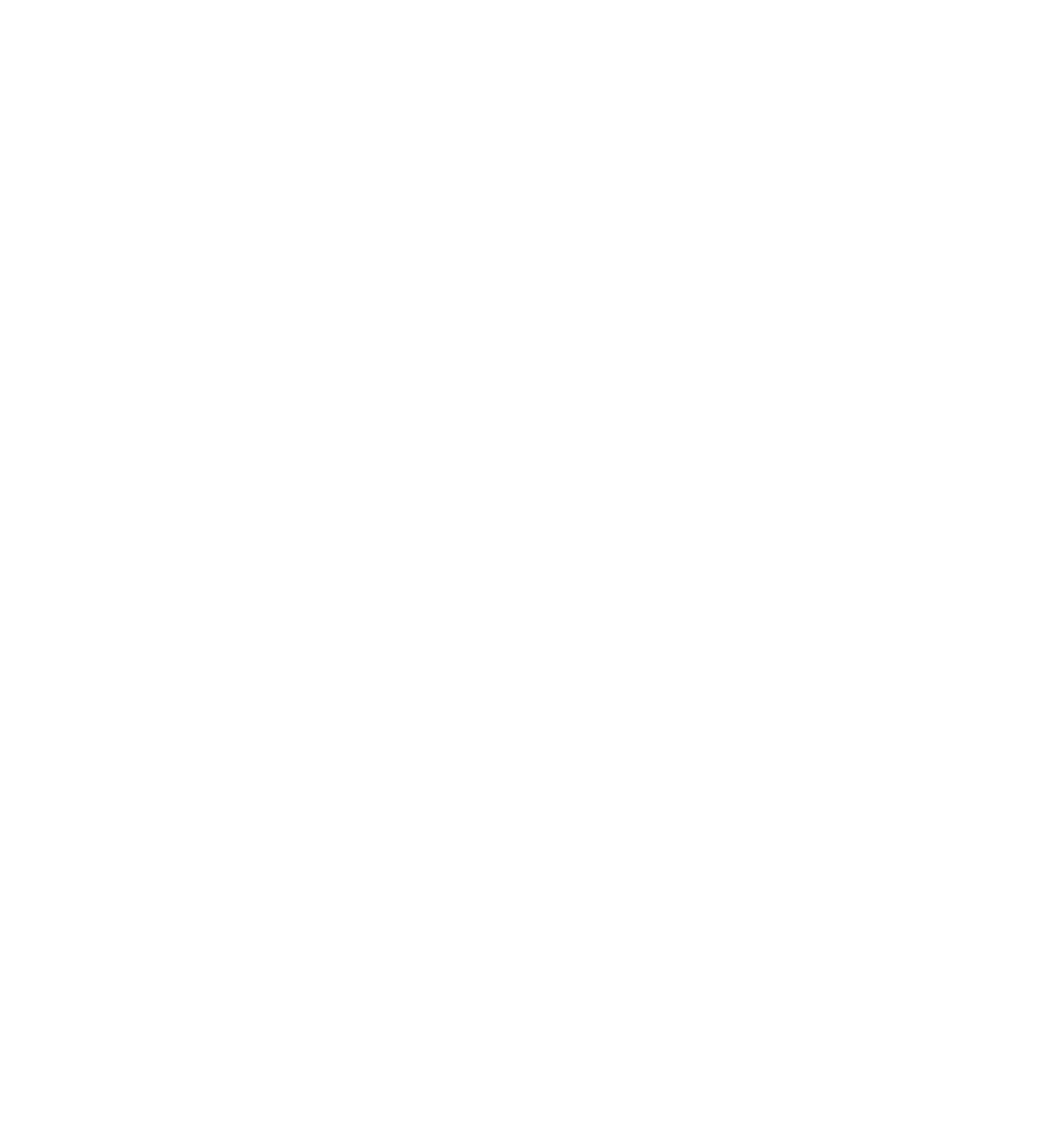 Paradox Nodes Logo